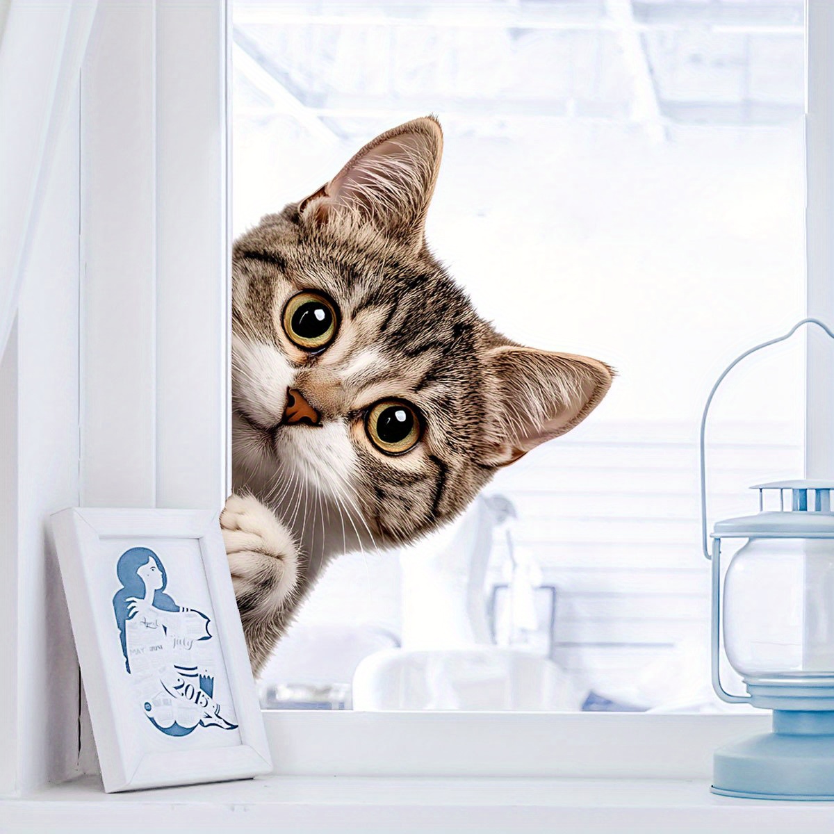 Grappige kat gluren raam muurs - Home Bathroom Cabinets recensie en prijs